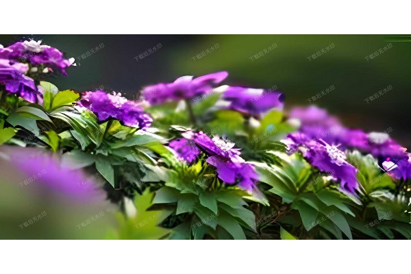 武汉桃源桑拿，尊享健康生活新体验